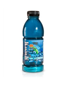 MAGNUM DETOX BLUEBERRY 16OZ 1CT