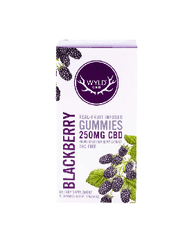 WYLD CBD GUMMY 250MG BLACK 1CT