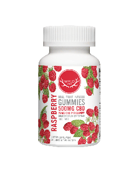 WYLD CBD GUMMY 500MG RASPBERRY