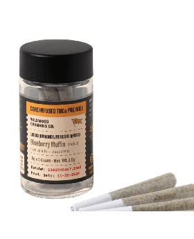 WILDWOOD CORE ROLLS 0.5G 5PK IND