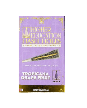 HIGHER EDU HASH 2G TROPICANA 10C