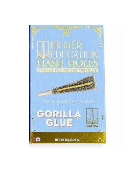 HIGHER EDU HASH 2G GORILLA 10CT