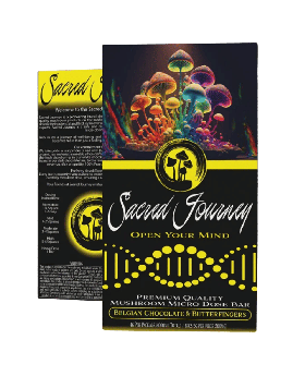 SACRED JRNY CHOCOLATE BEL BUT 6C