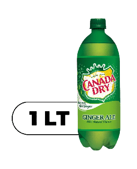 CANADA DRY GINGER ALE 1 LTR 15CT