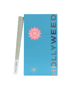 HOLLYWEED ROLLS FUTURE HAZE 8/5P