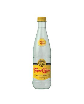 TOPO CHICO 15.5 OZ MINERAL 24C